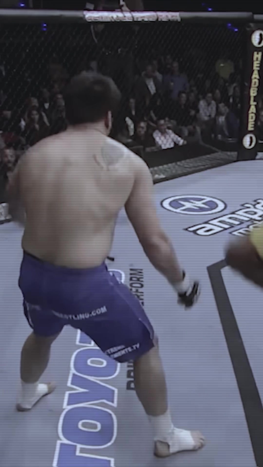 @Jmarquezmma