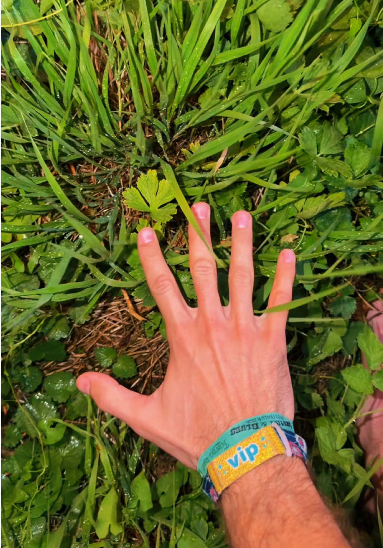 @mega