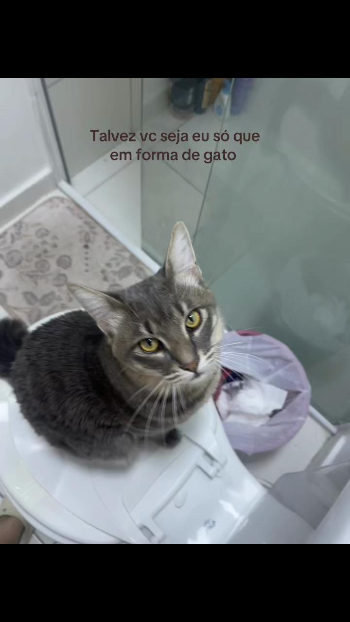 @Beatriz camile