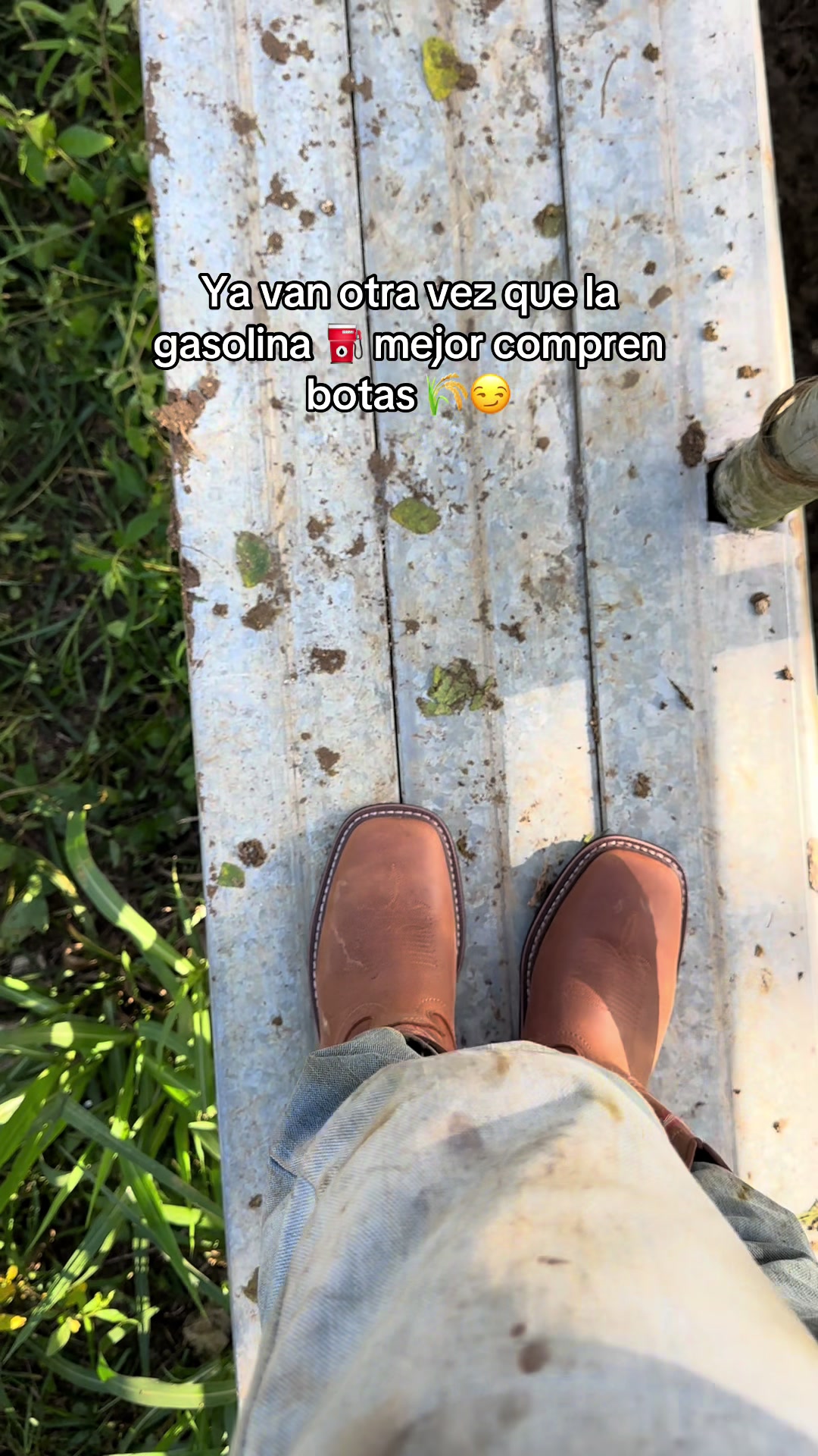 @Venta de Botas RHINO