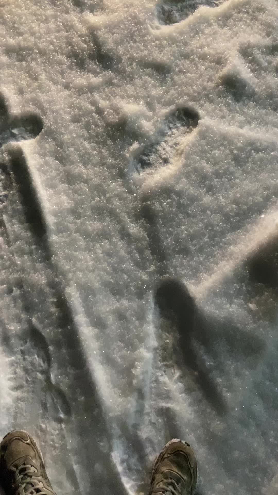 @ksenafontovvv