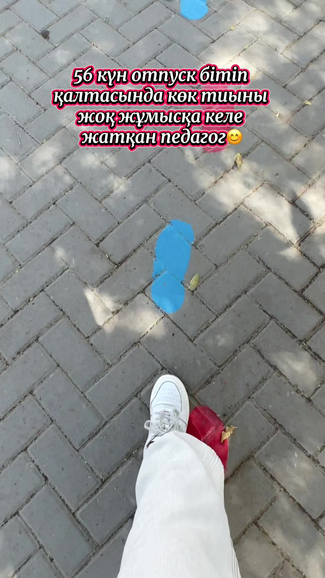 @Zhanna Kadrina