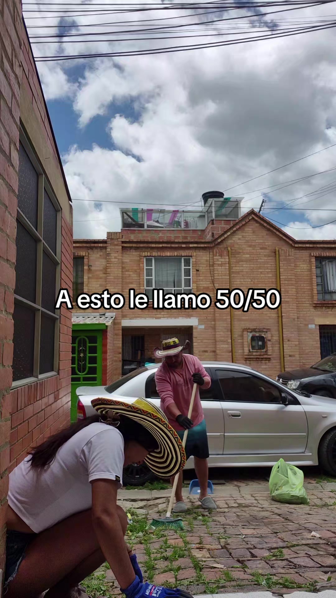 @gato