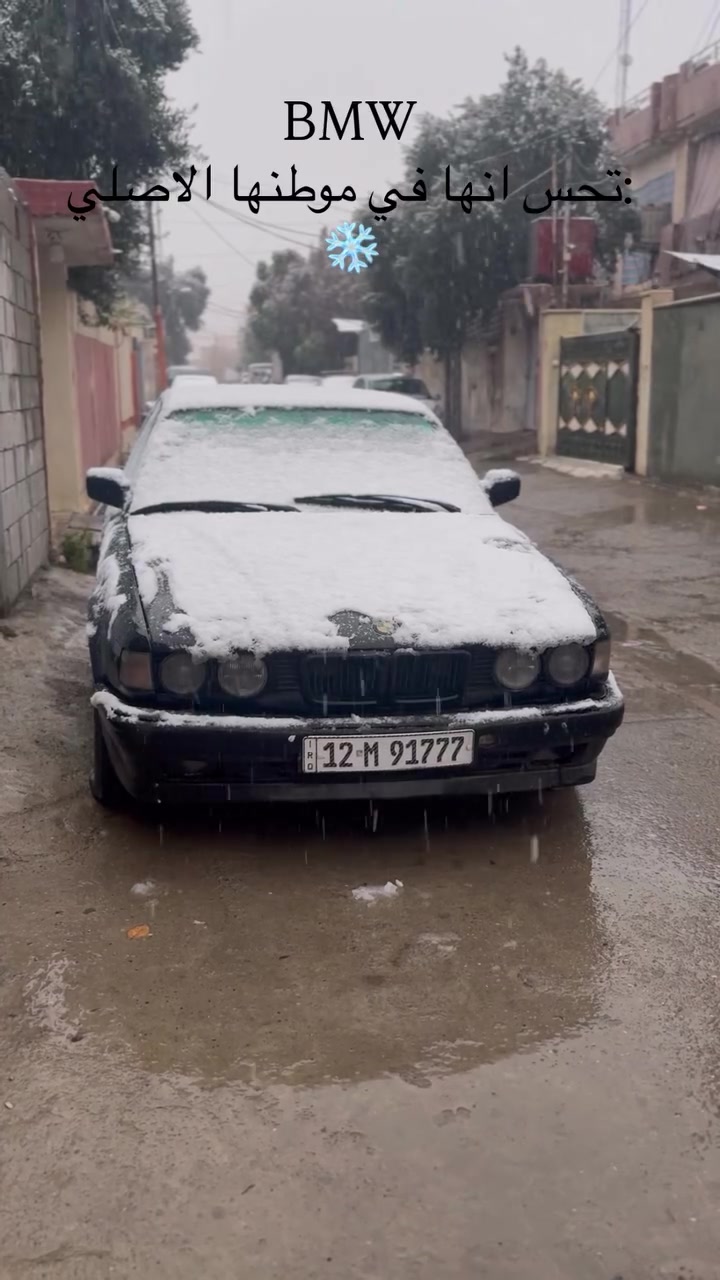 @محمد طاهر الدباغ