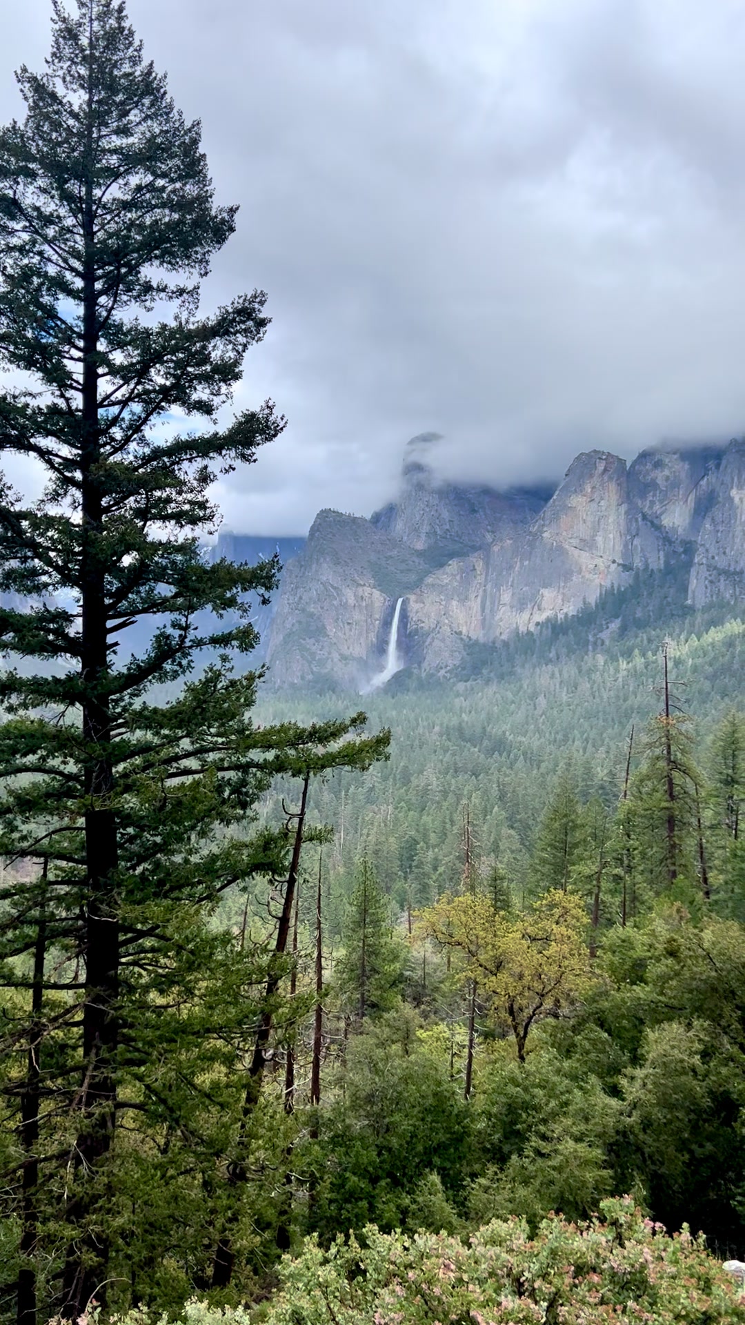 @sammi | travel & nature ๐