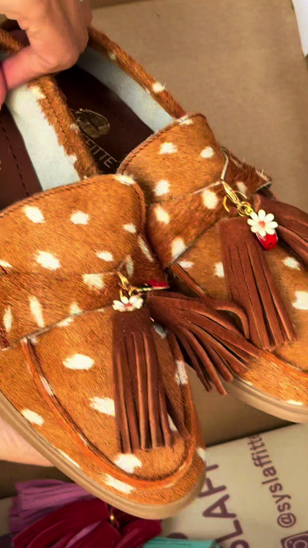 @Zapatos Syslaffitte