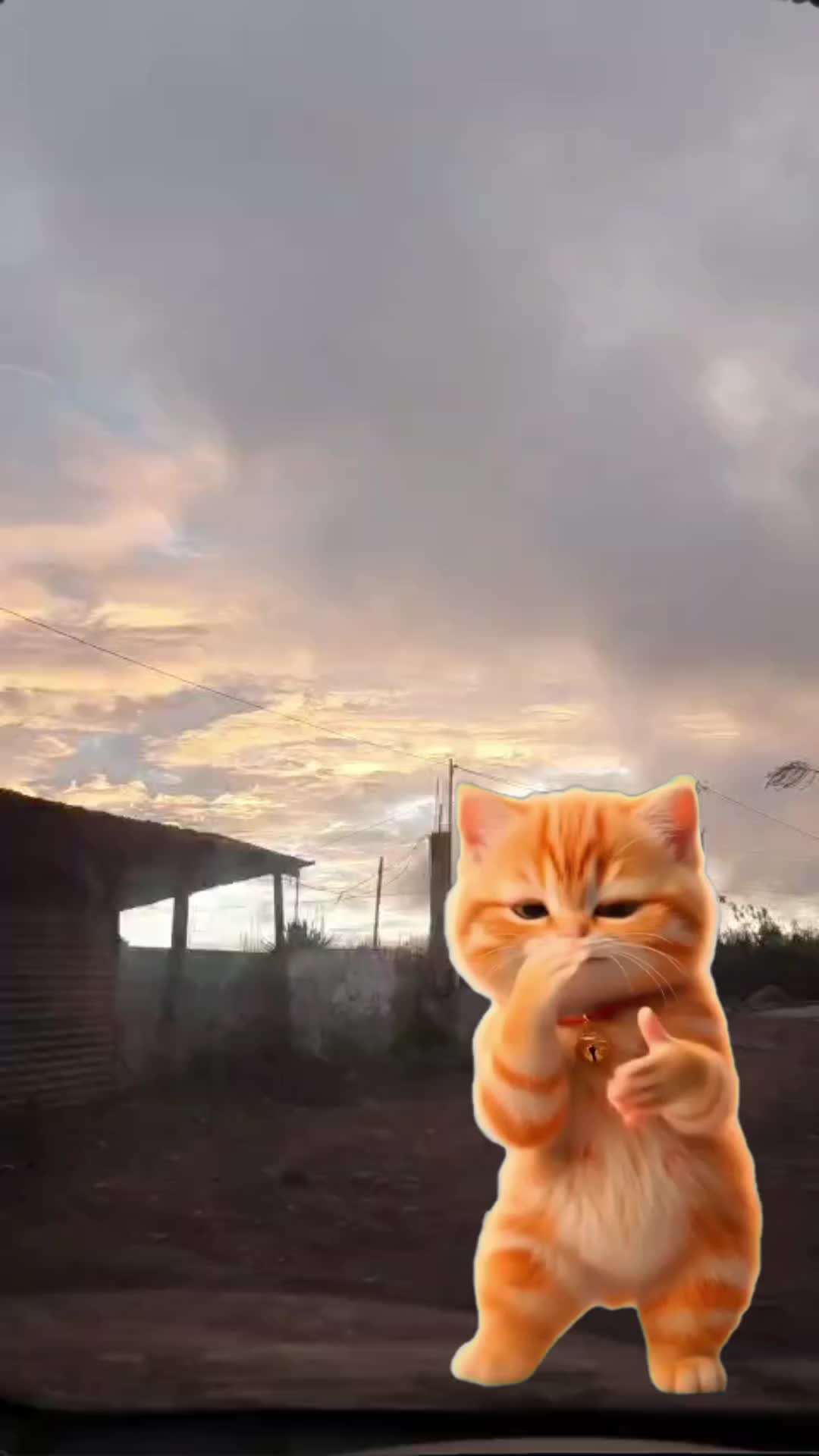 @🇬🇹§ƆȚƆŸ🇬🇹
