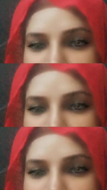 @rajpoot girl