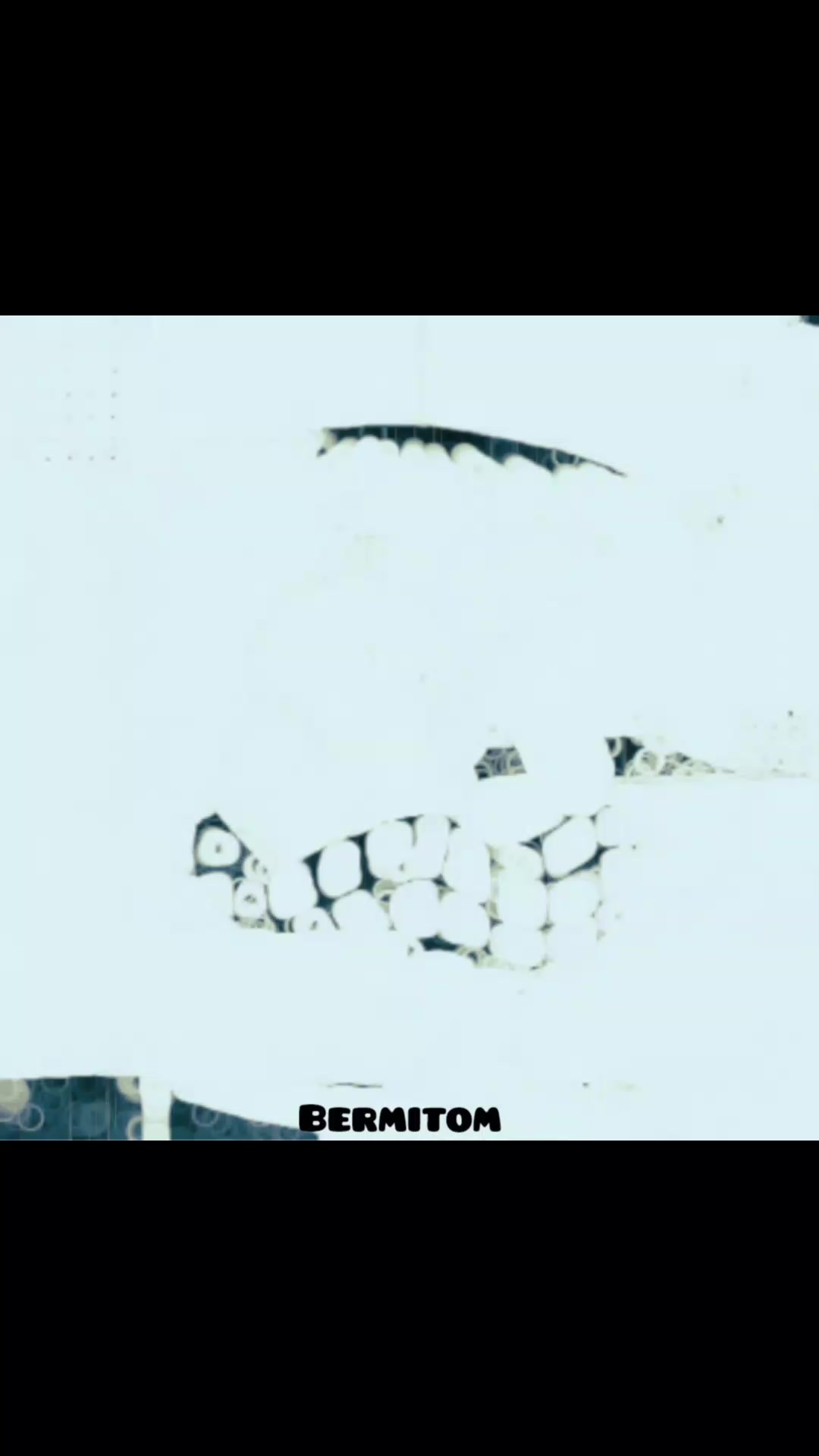 @BERMITOM