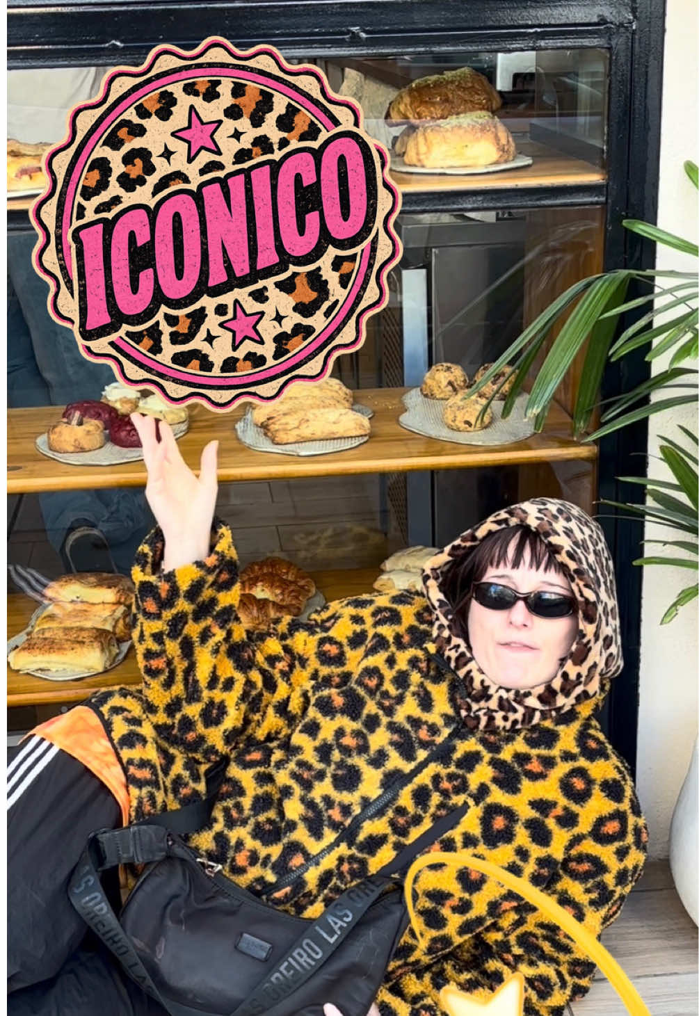 @iconoporota