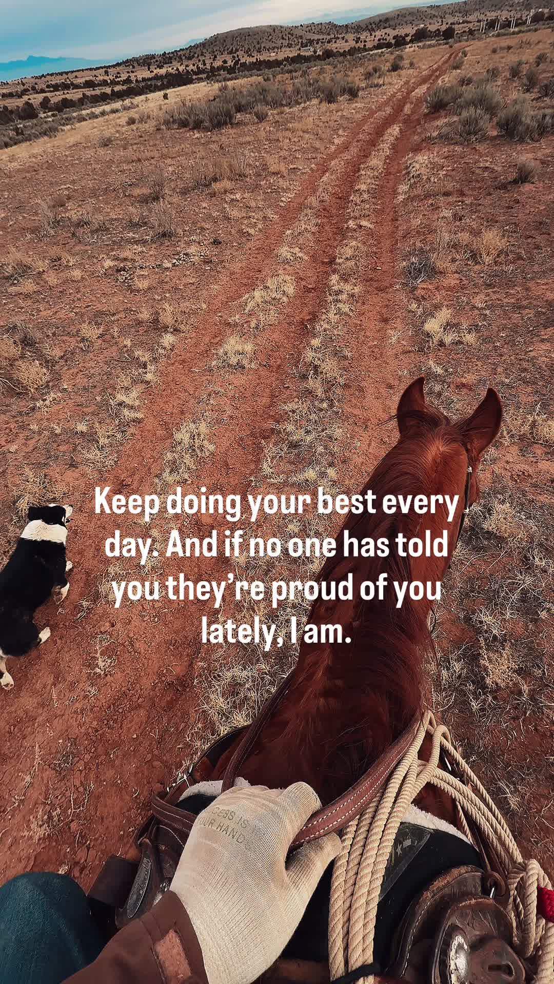 @The Cow Dude