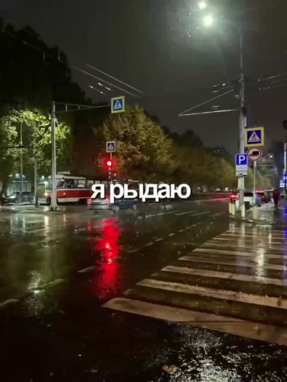 @viral кид✌️🩷