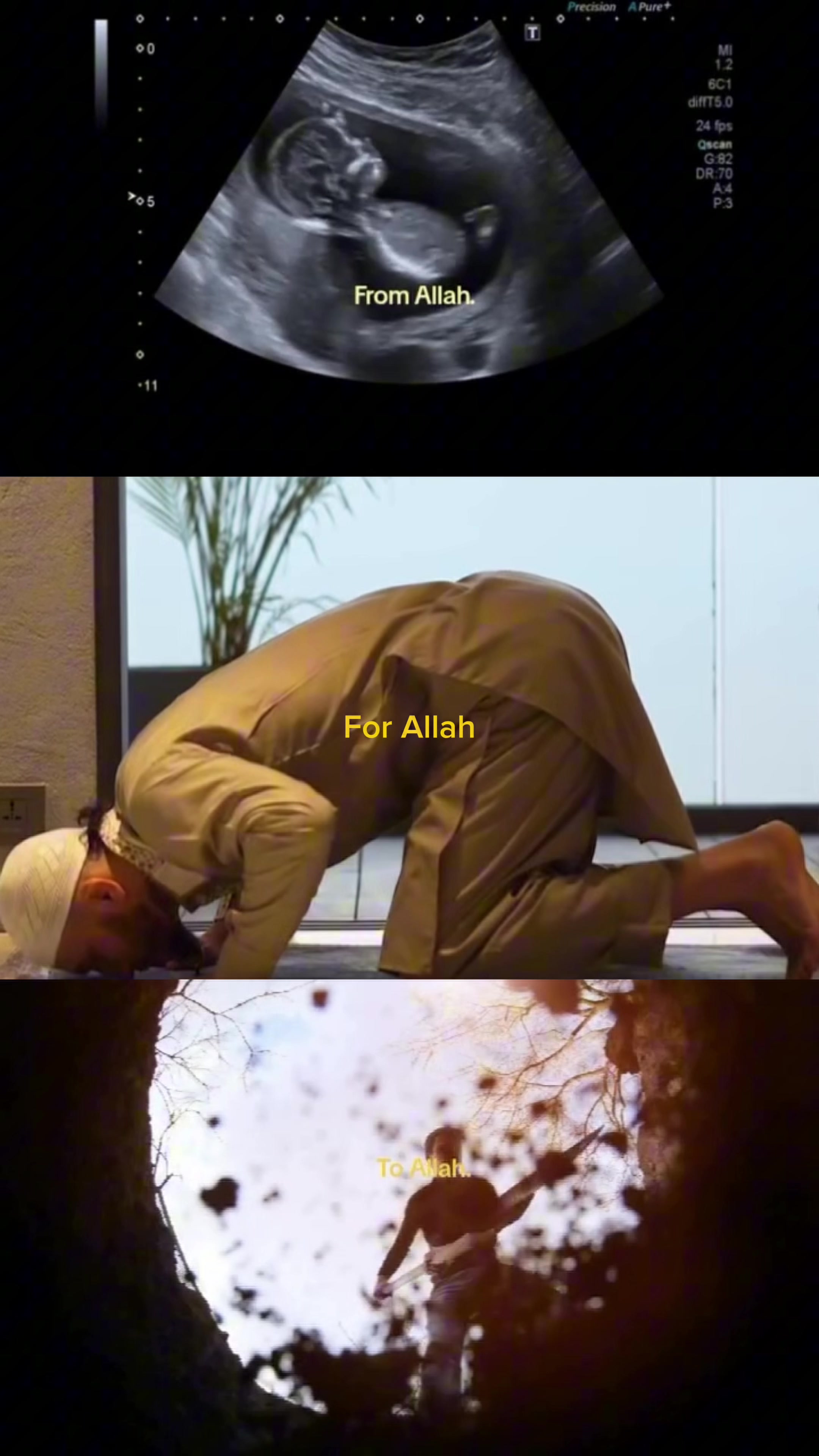 @Abdul Azim Badakhshi