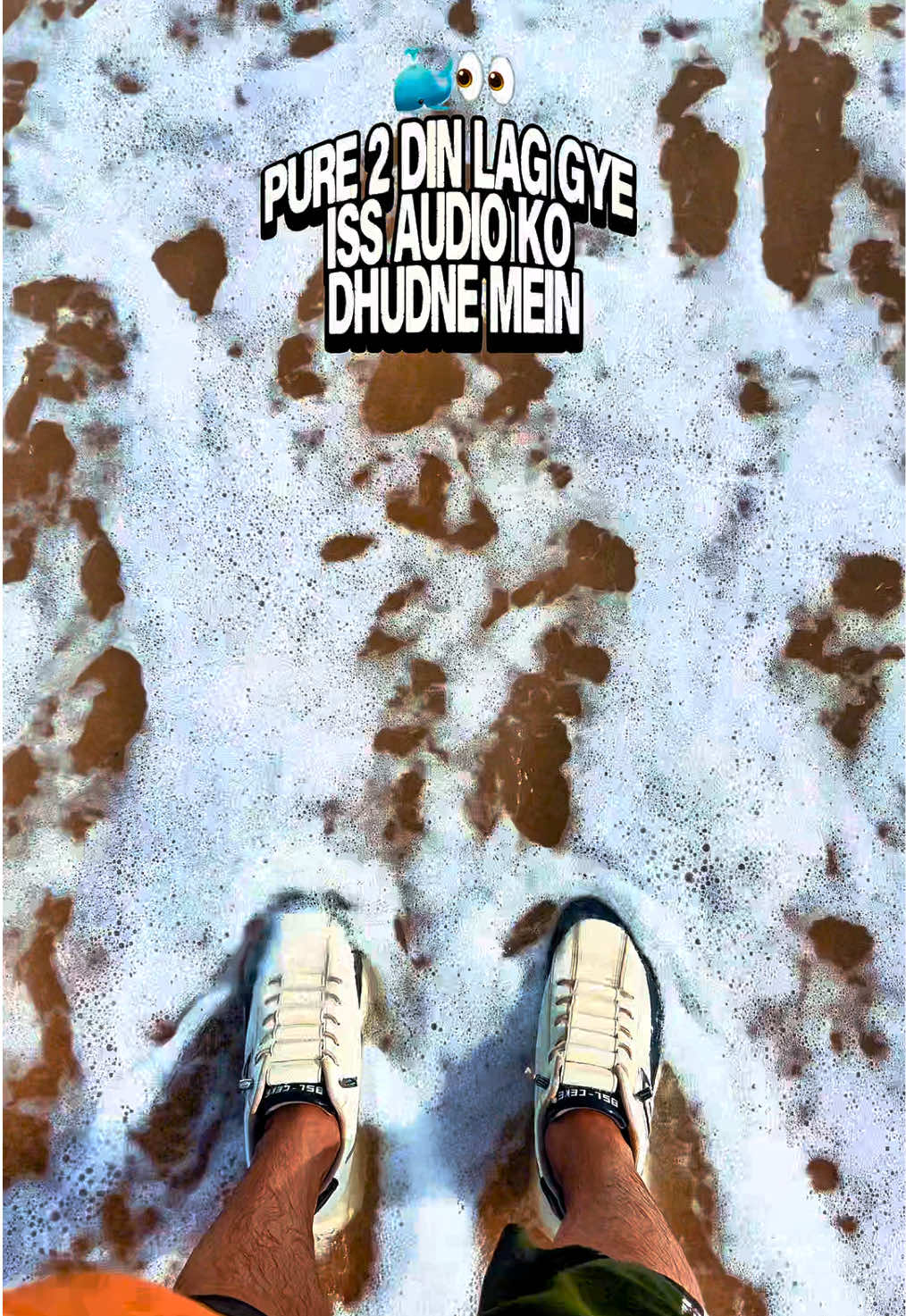 @๐๐๐๐ ๐ฃ๐๐ฐ๐๐