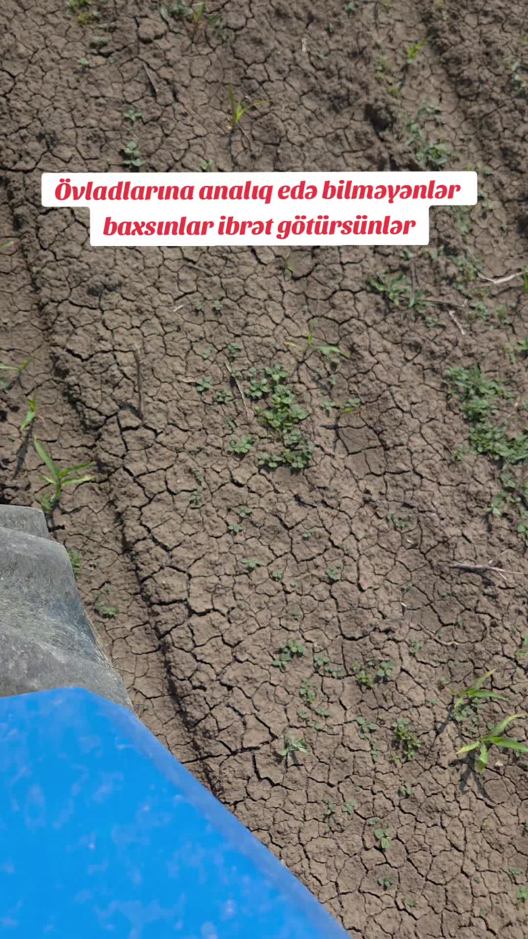 @azer313
