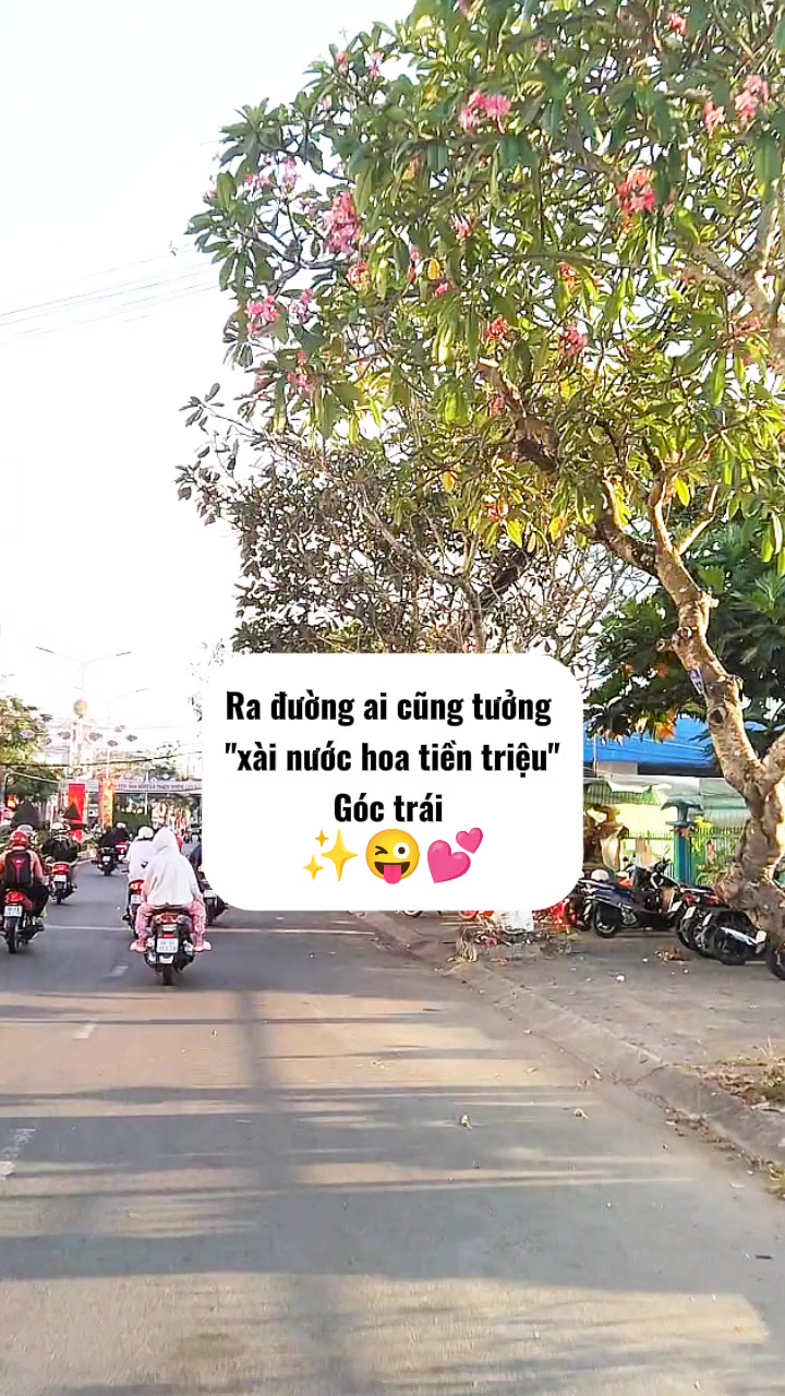 @Góc nhỏ gia dụng 115