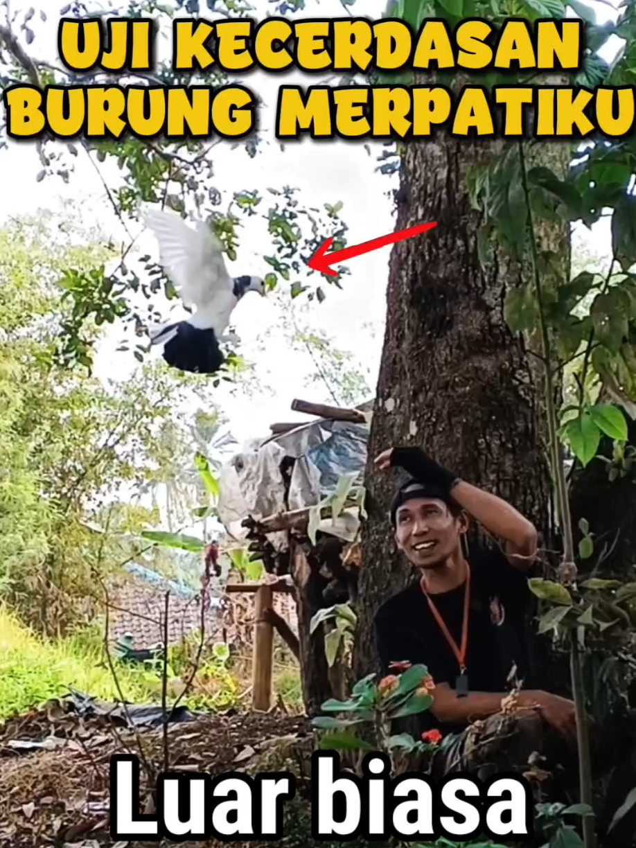 @BANG LEYON