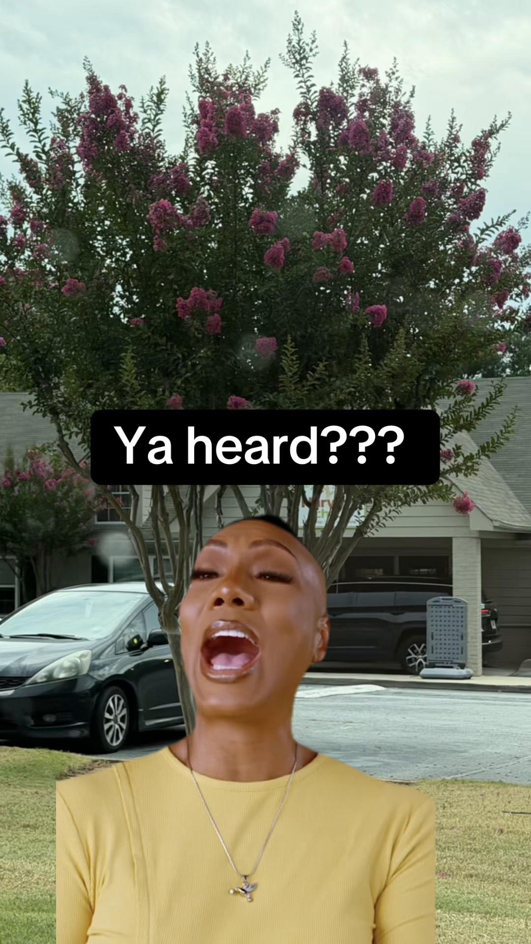 @its_kammy
