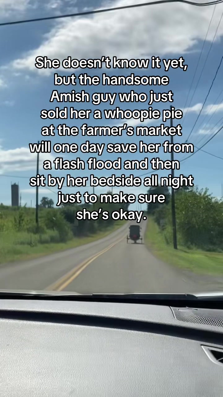 @amish.romance.reads