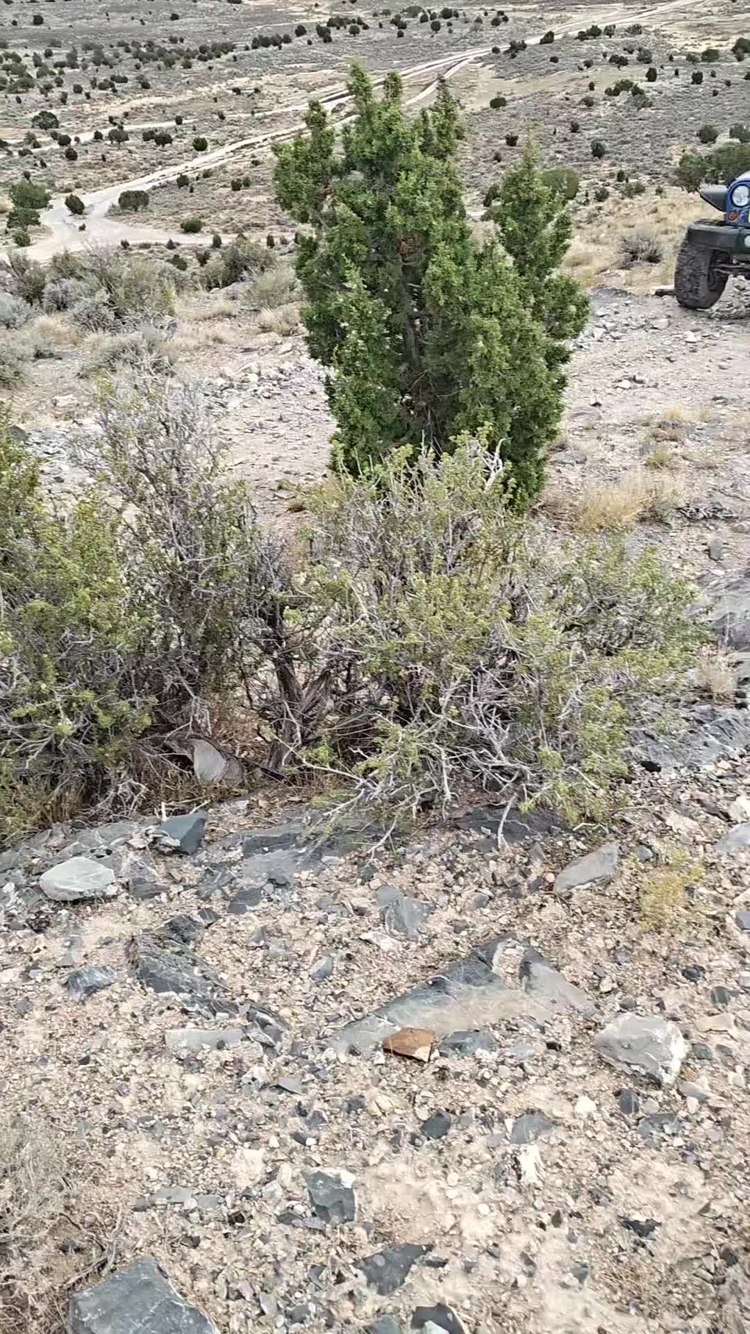 @Utah off-road adventures