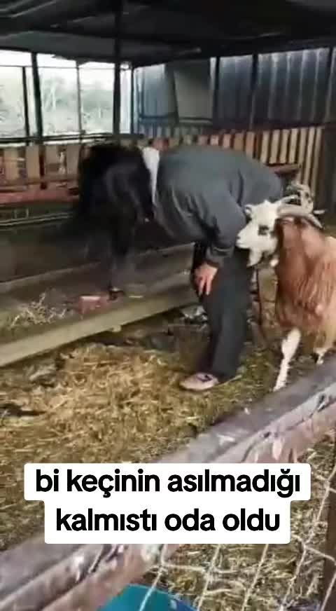 @burçin