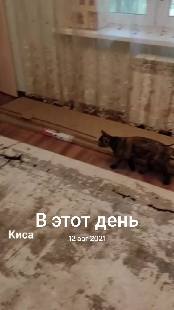 @Мысли вслух
