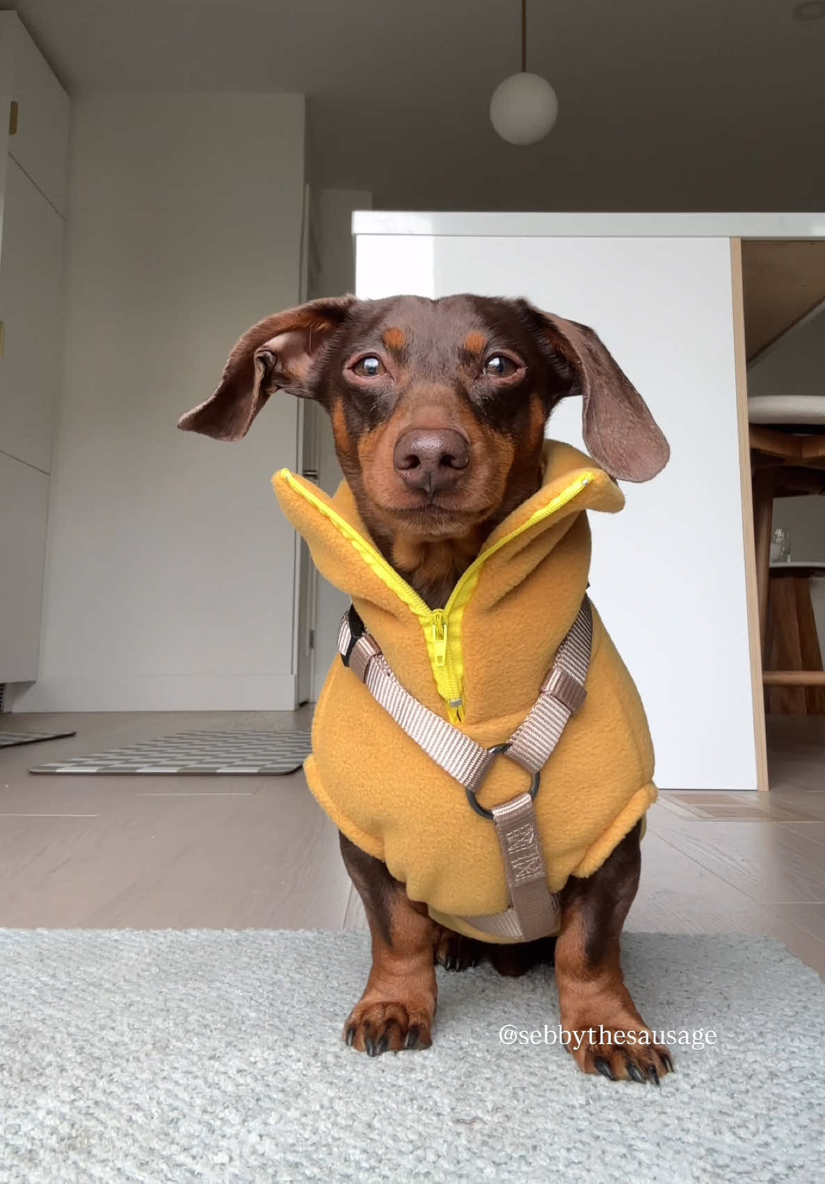 @sebbythesausage