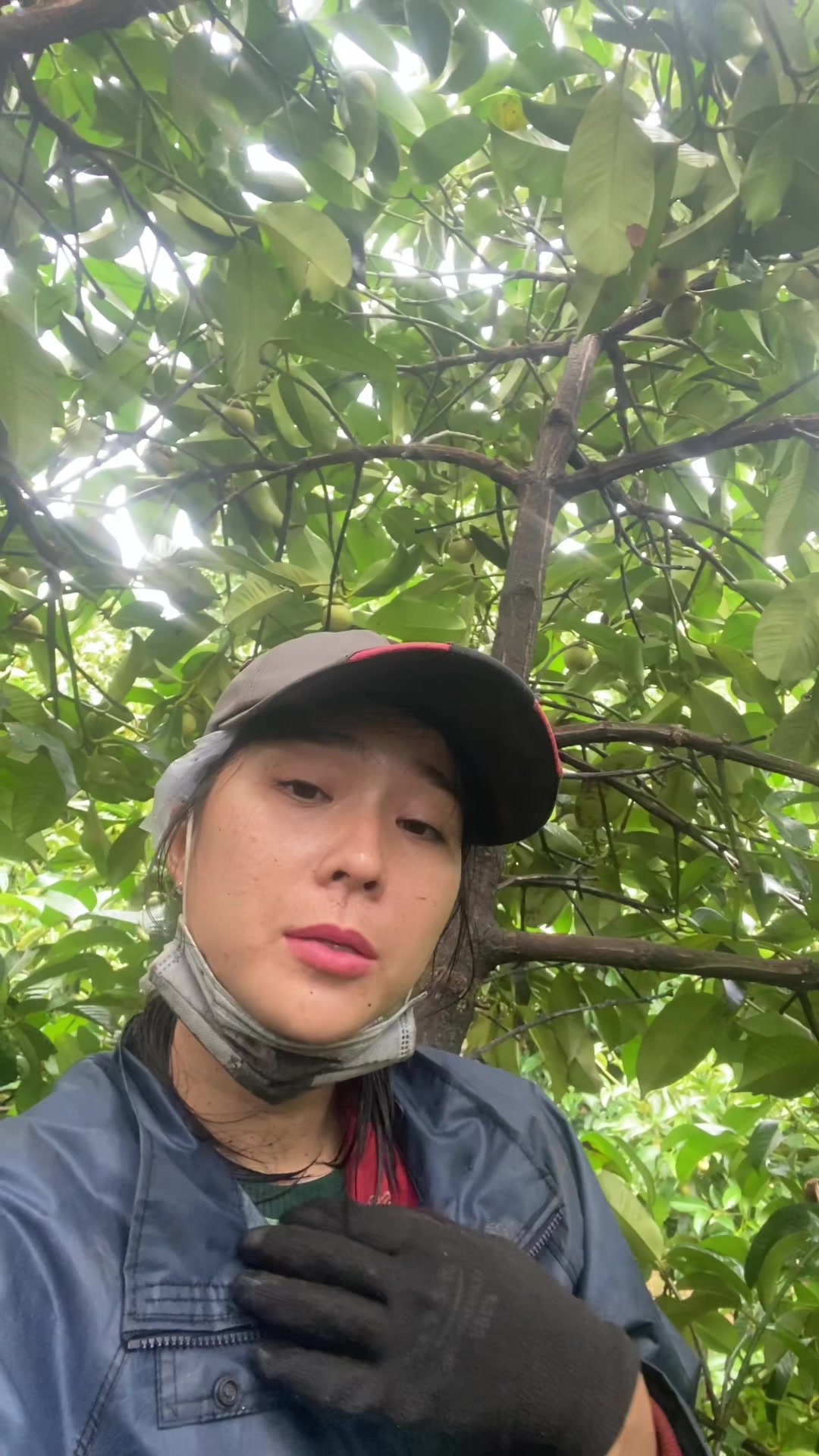 @hong_anh666