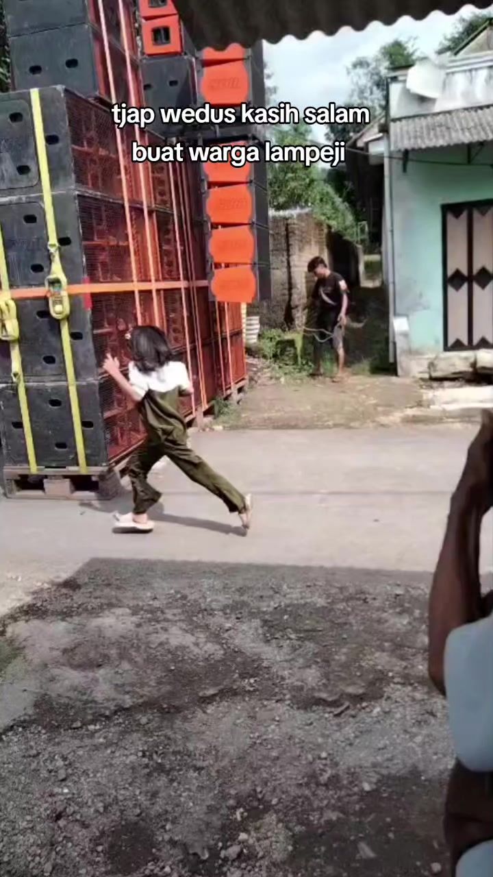 @SDM sarang Domba mayang
