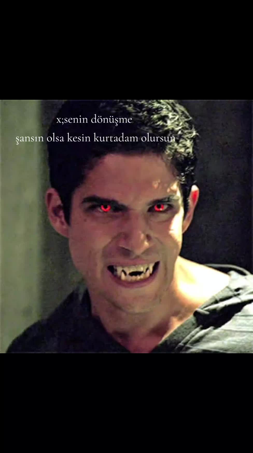 @stydiadırbabba