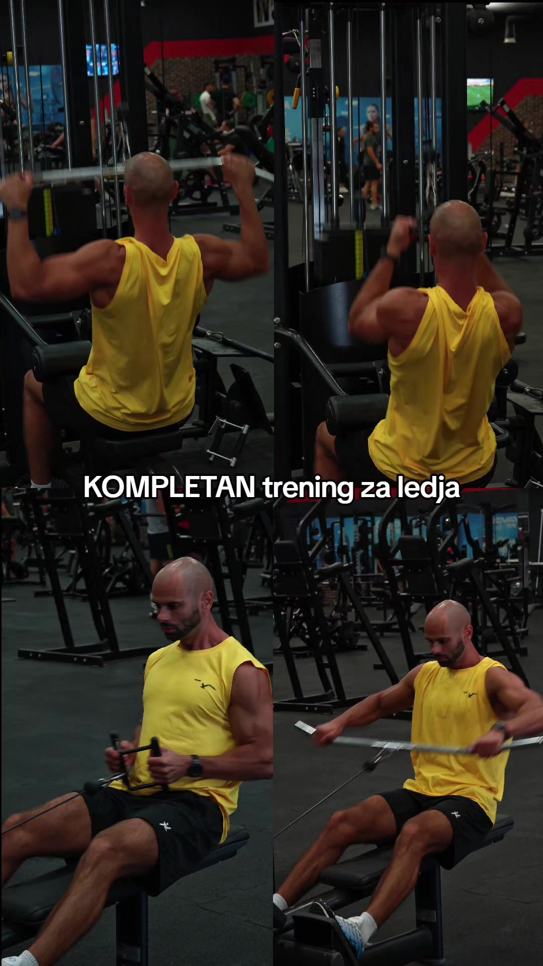 @lazarnicma