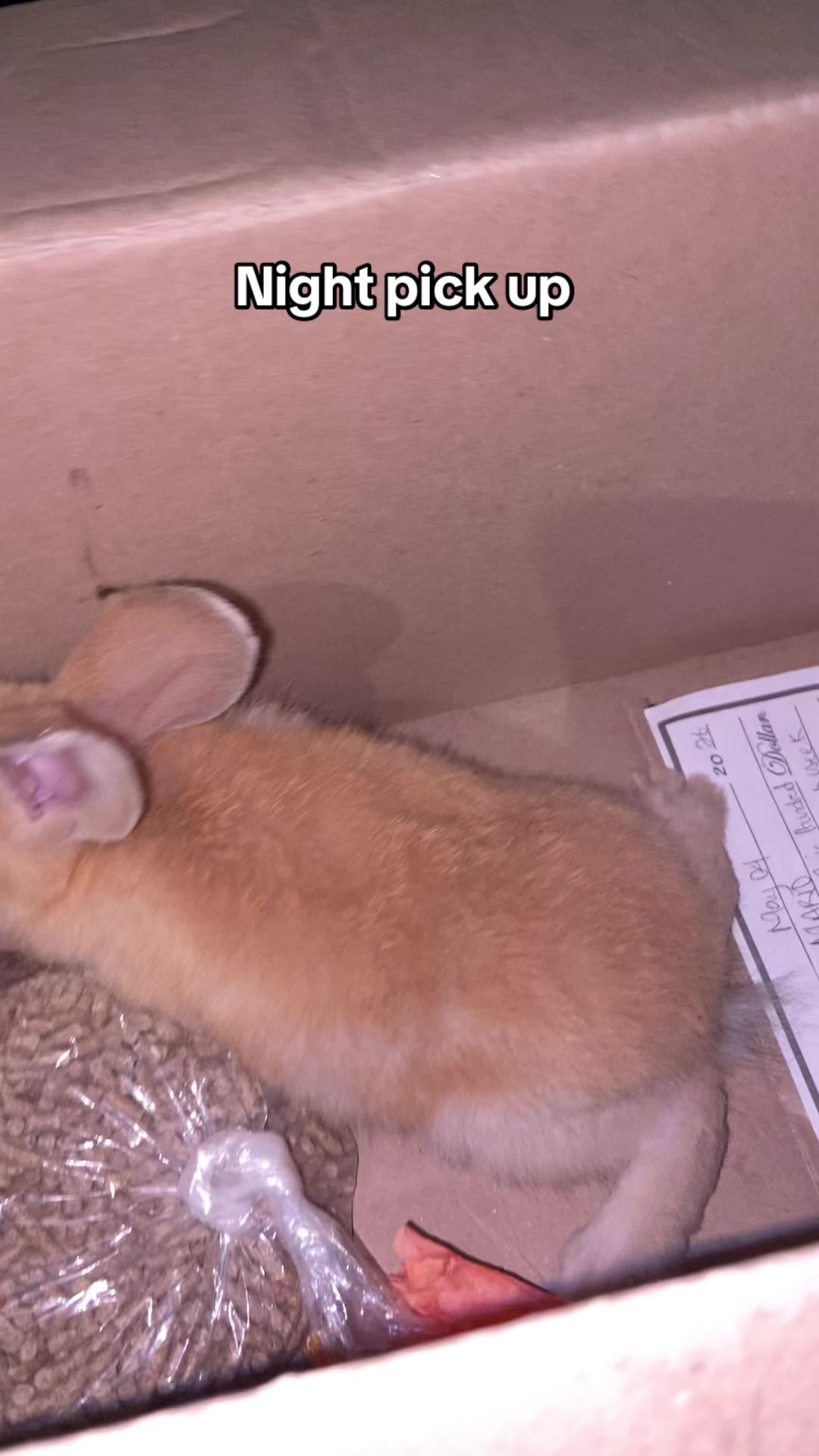 @HappyHoppersRabbitry