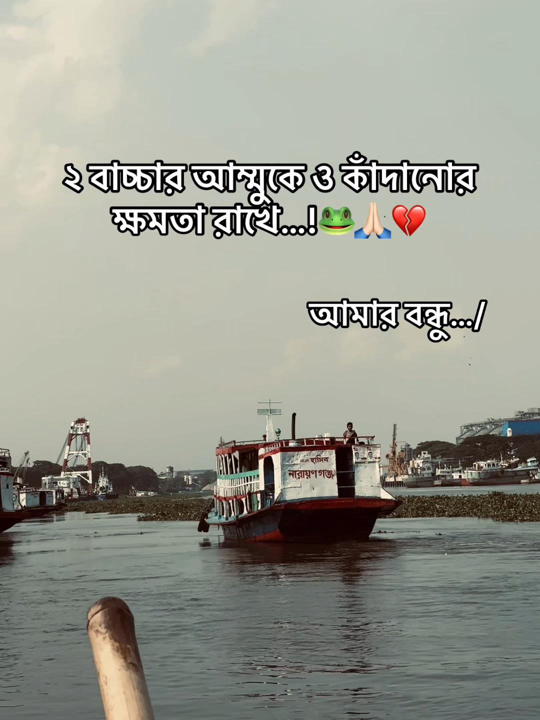 @Tanvir AhmeD&rsquo;z🚩