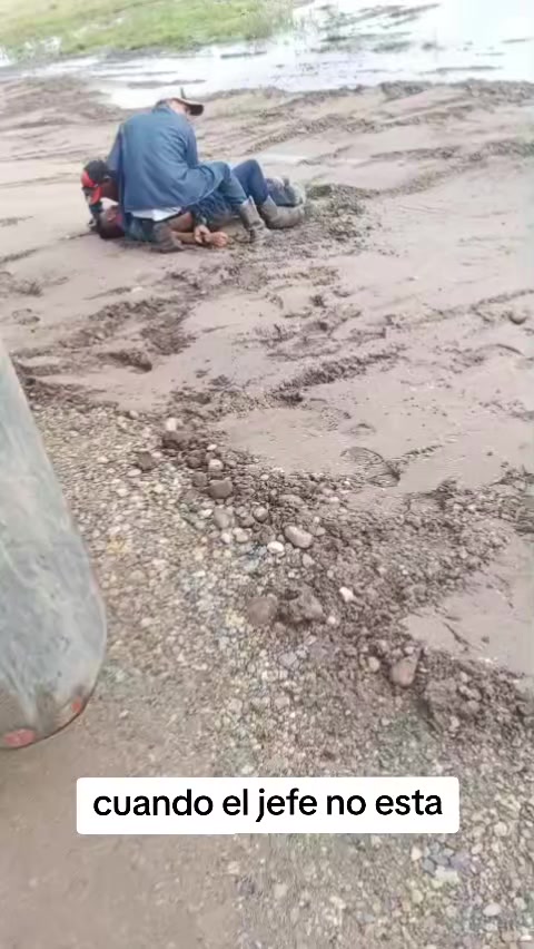 @Marcos Alarcón