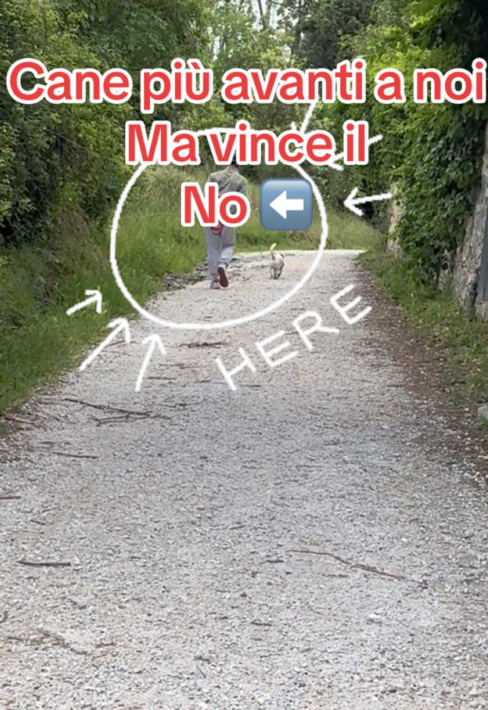 @Le avventure di Thor 🌪️ w ❤️