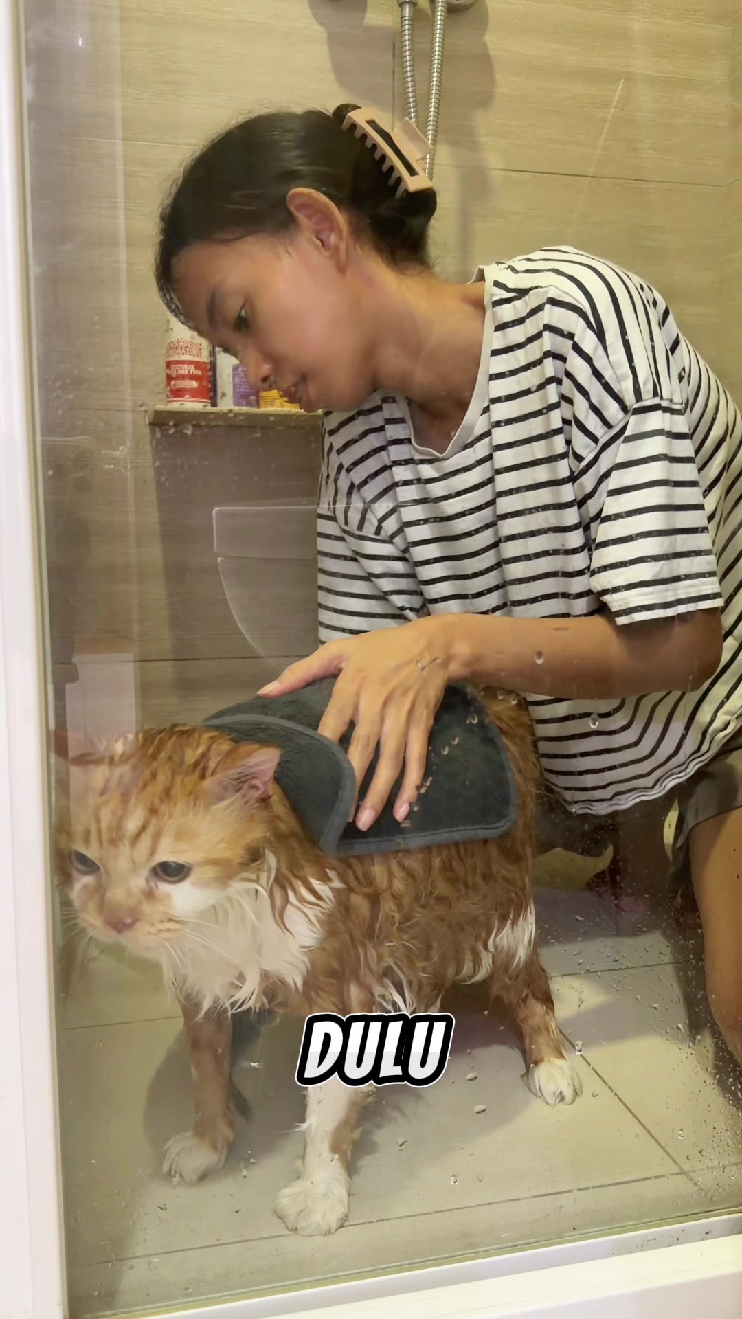 @nekokeikochan