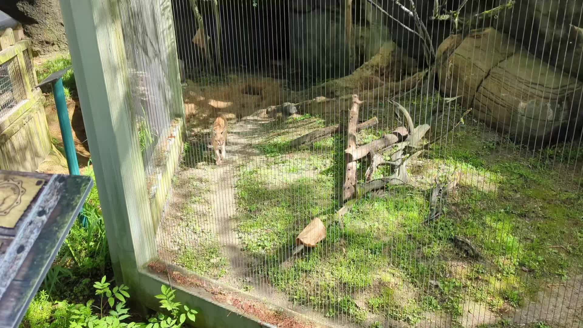 @Daybird Aviaries