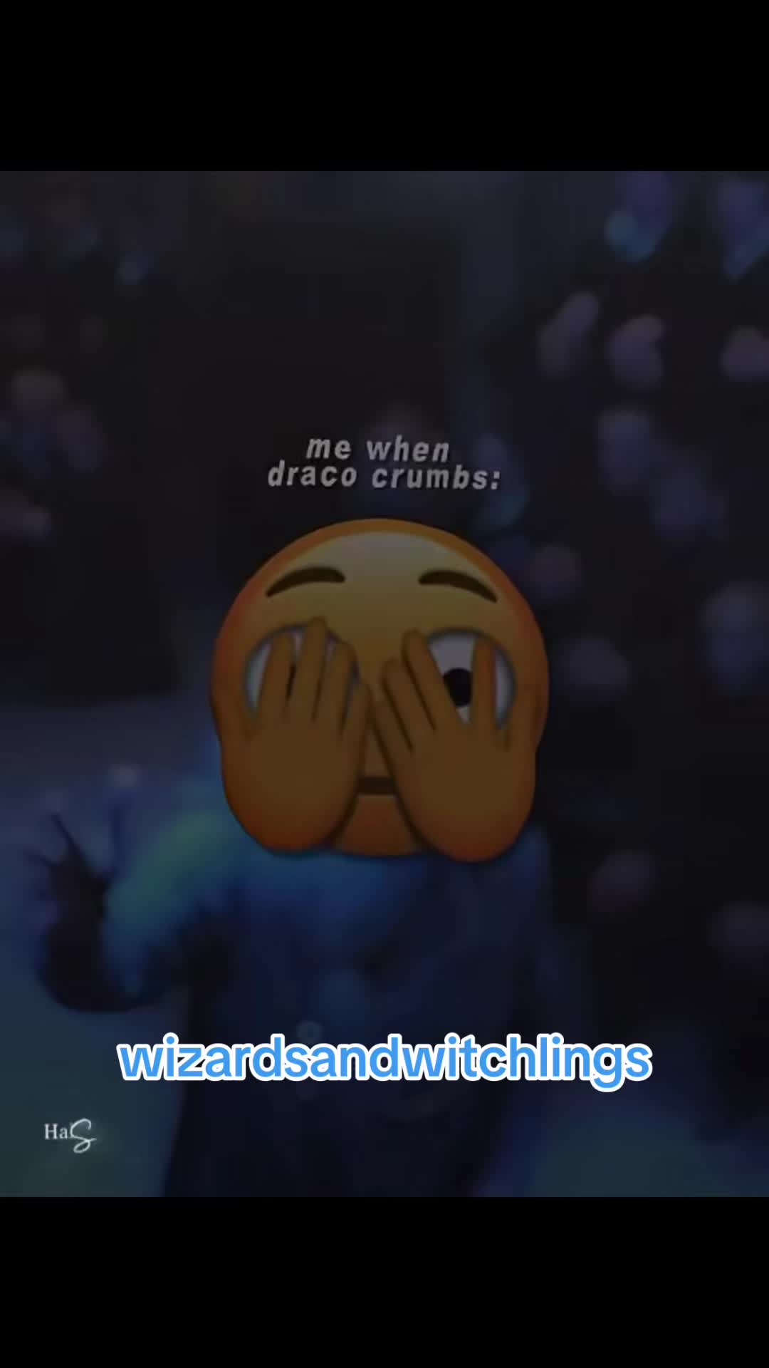 @WizardsAndWitchlings