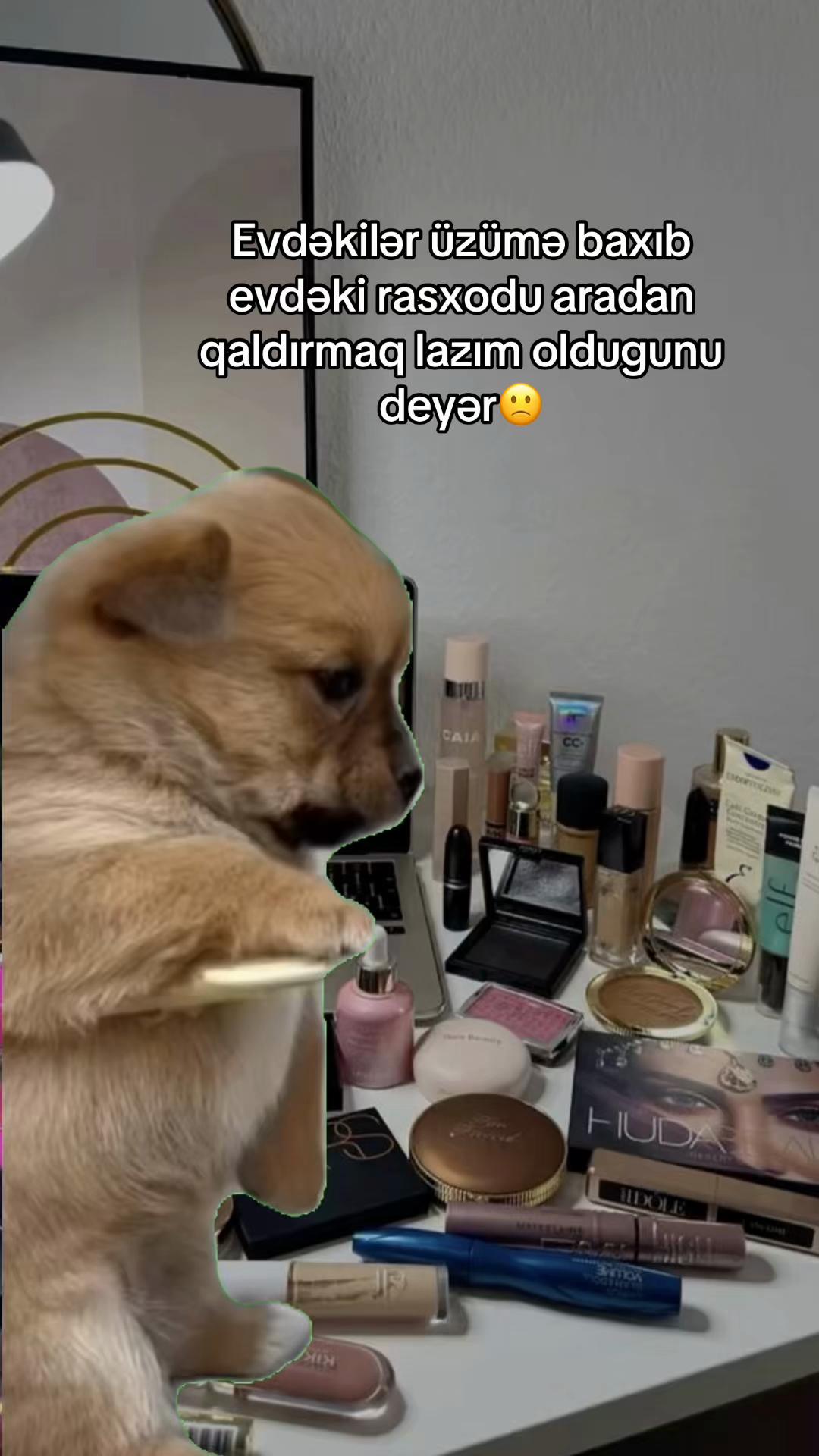 @๐ธ๐๐ข๐๐ก ๐๐๐๐ข๐ธ