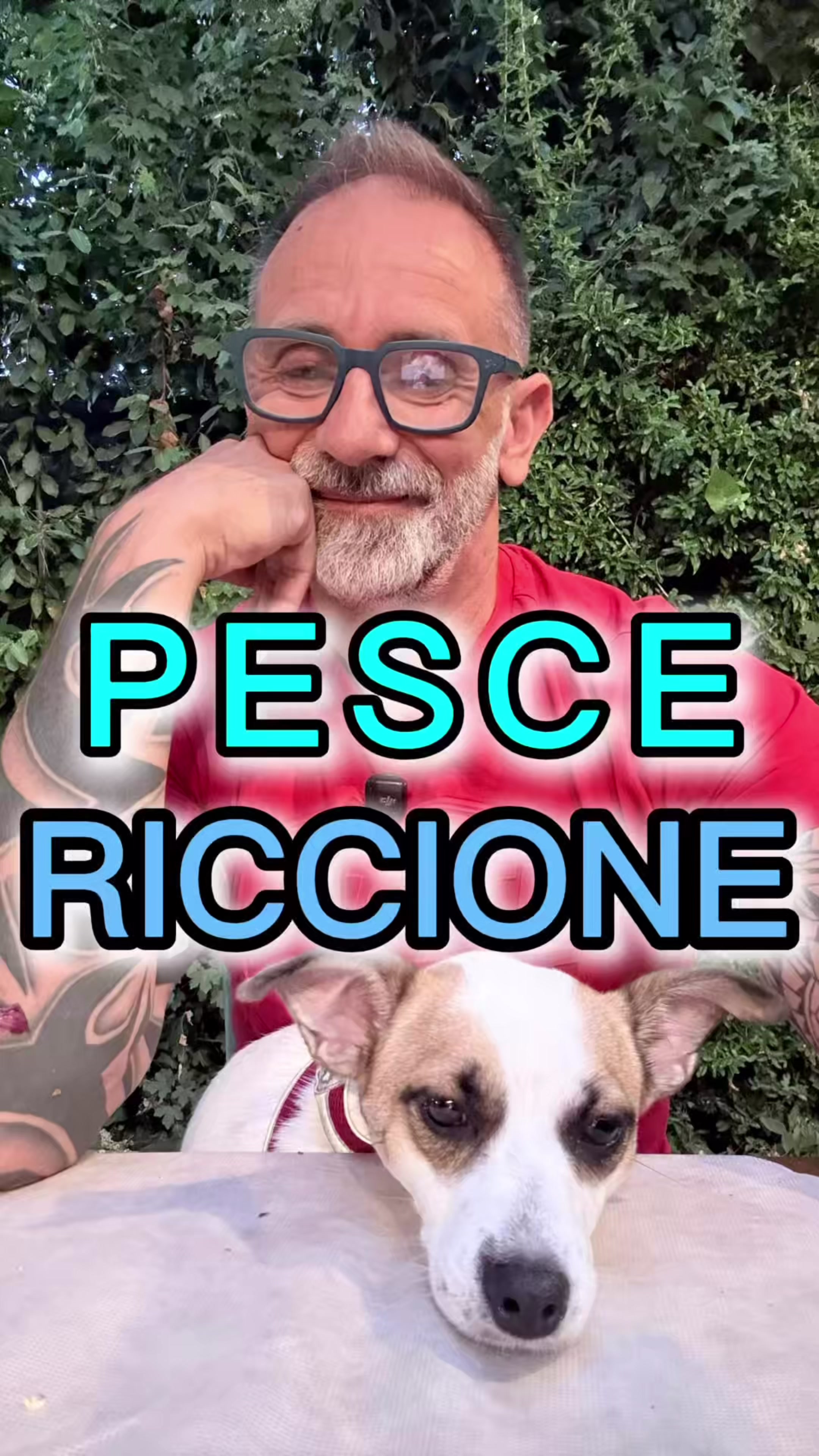 @CECCO PT