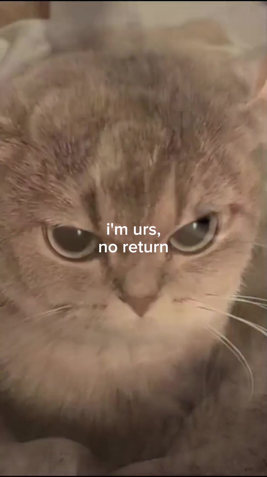 @Doug funny