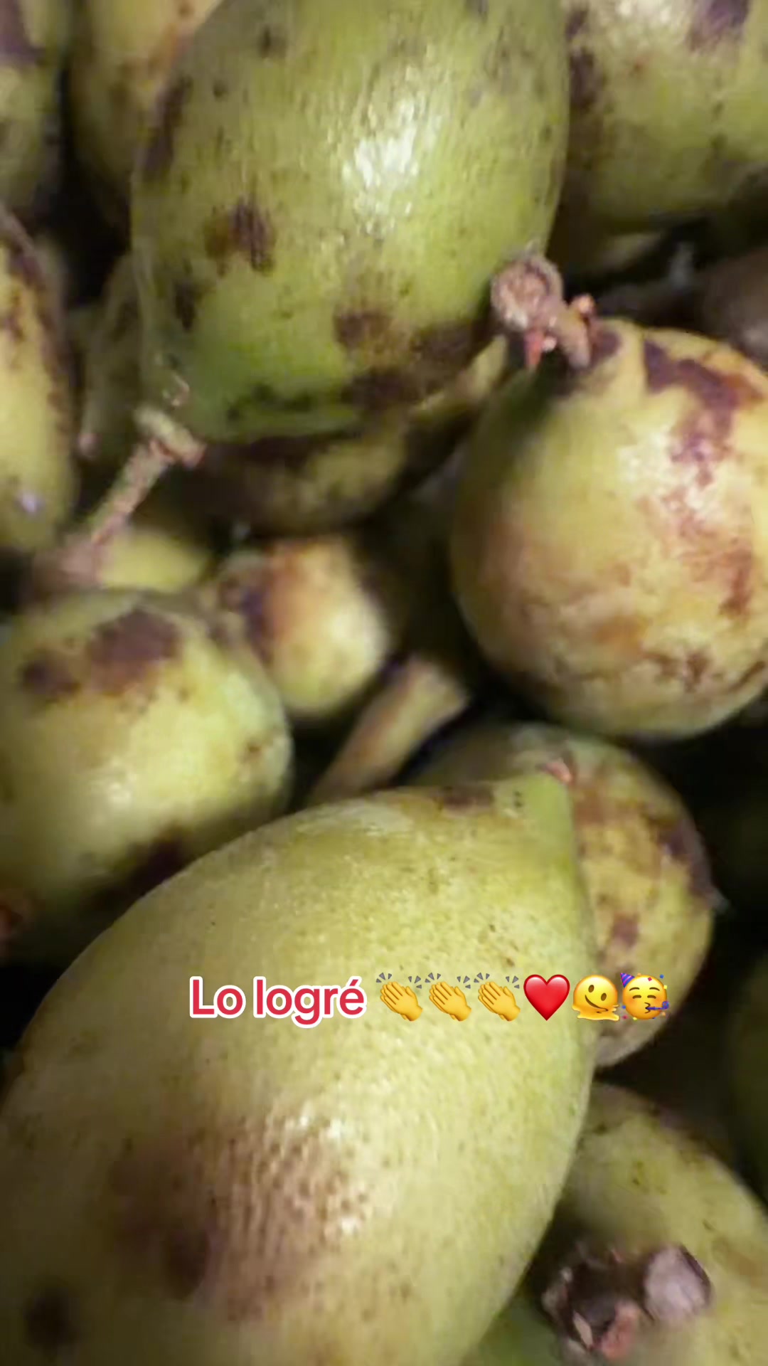 @lafarahona95