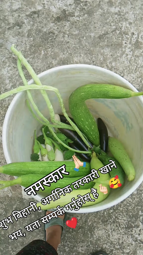 @Bishnu Rayamajhi