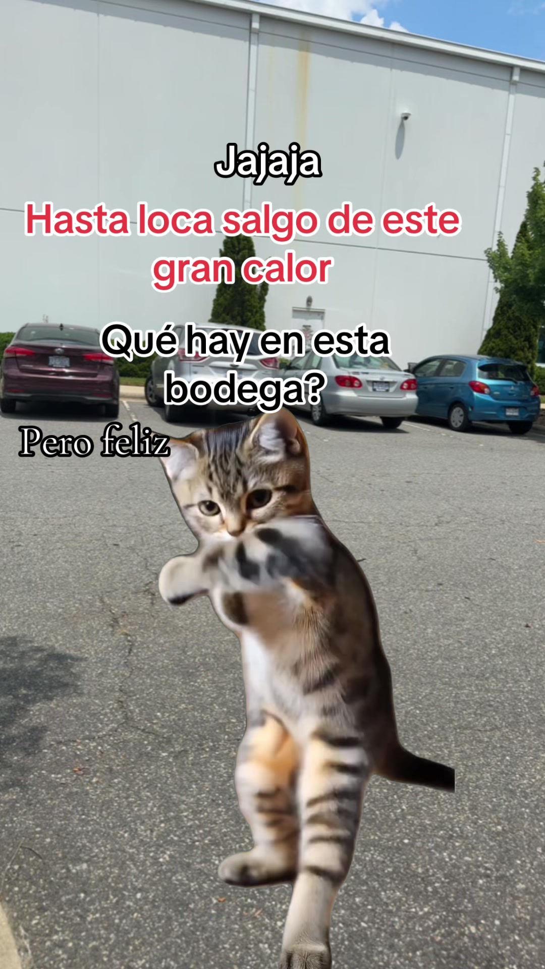 @RosaLinda 🌹🌹🌹