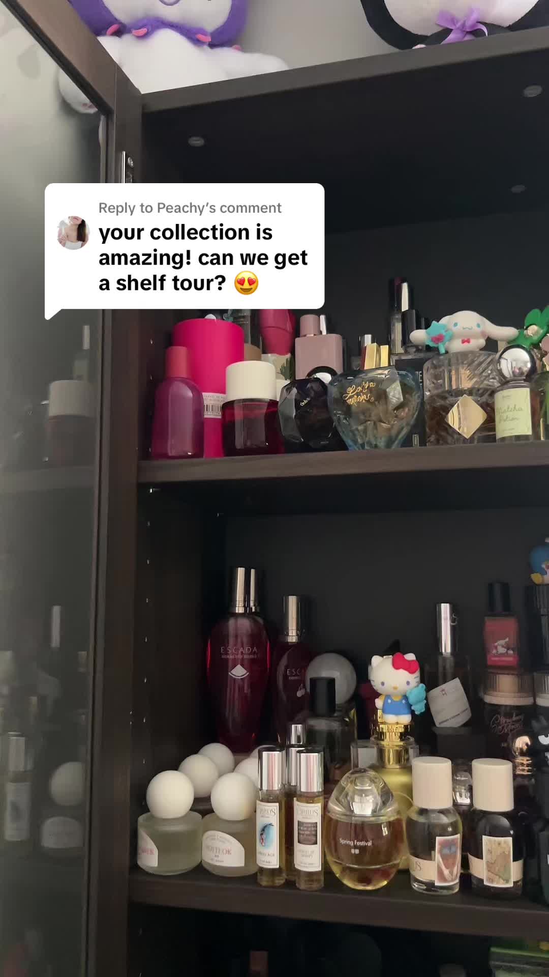 @Sophia | Cats & Fragrance 💕