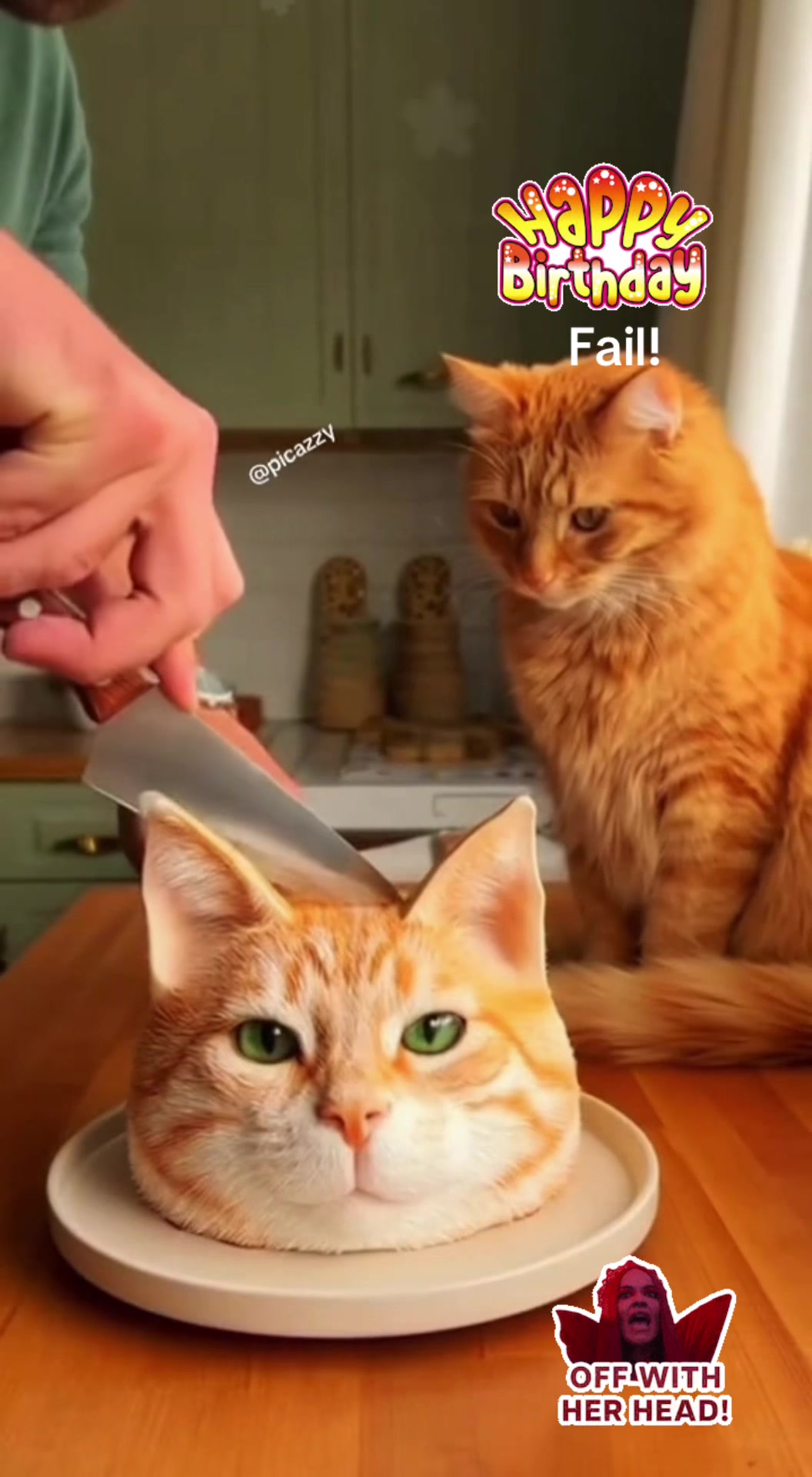 @🐈&zwj;⬛🐈Shelby🐈