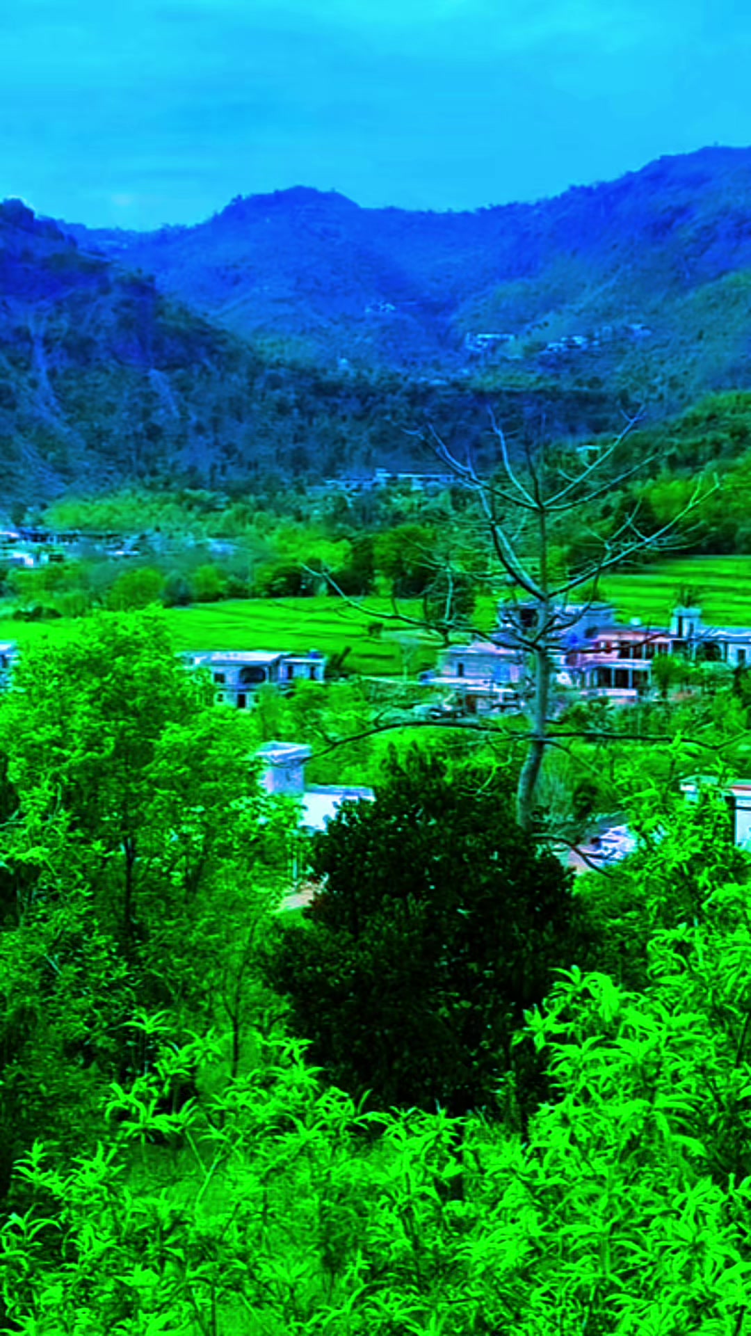 @❤️Saqi Kashmiri ❤️333