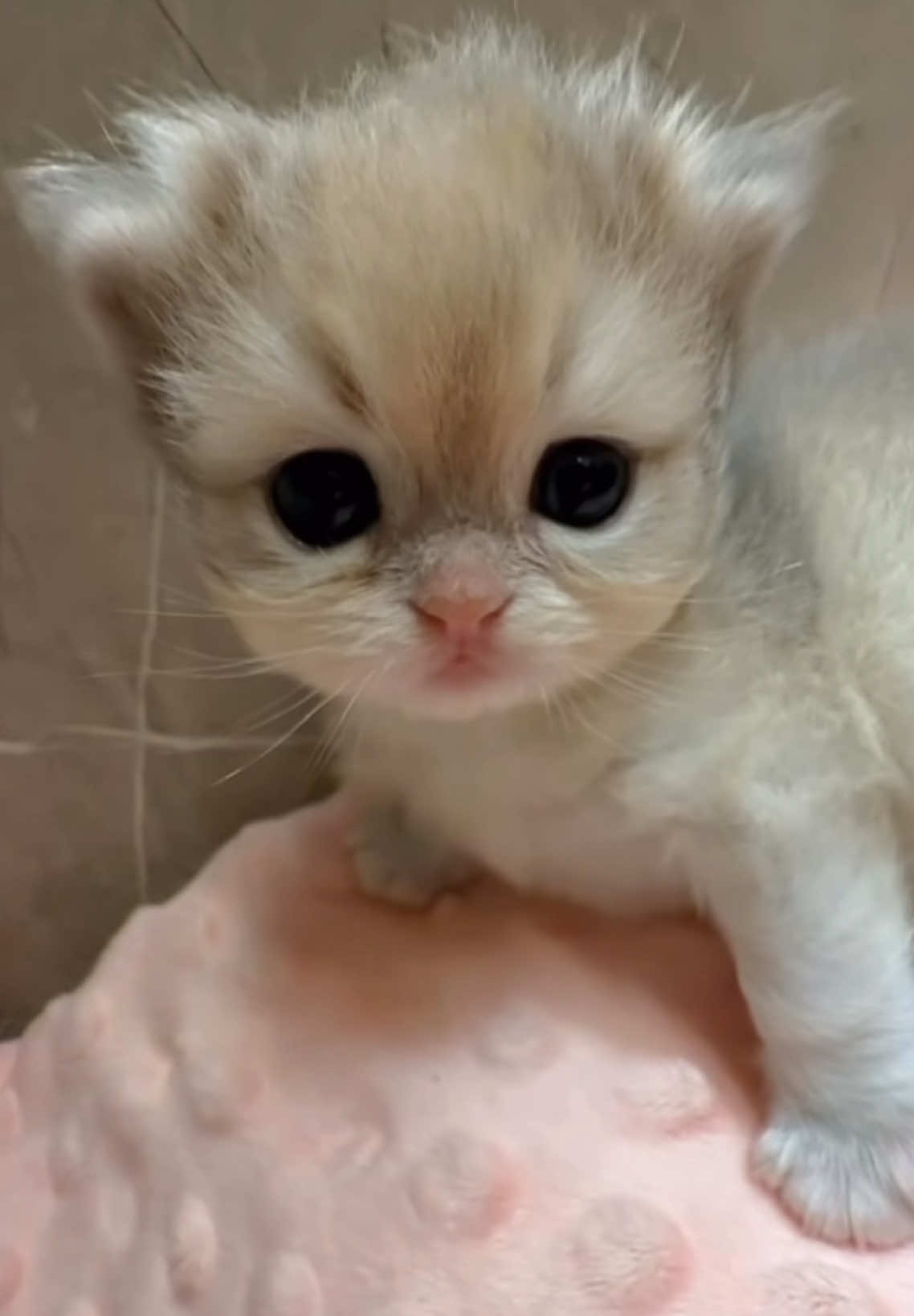 @ViralPick