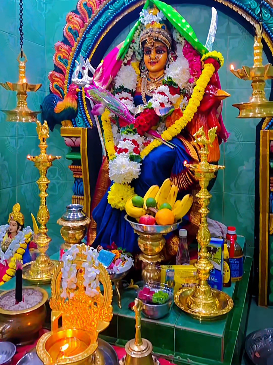 @Karam Ram 🦚✨️🧿