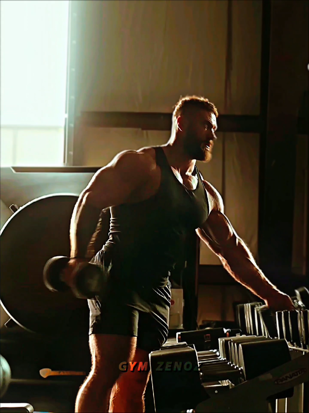 @Gym Zenoz